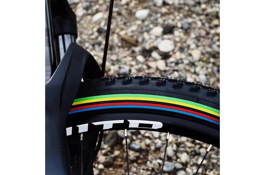 VITTORIA BUITENBAND MTB MEZCAL 29'' (TLR) UCI RAINBOW EDITION