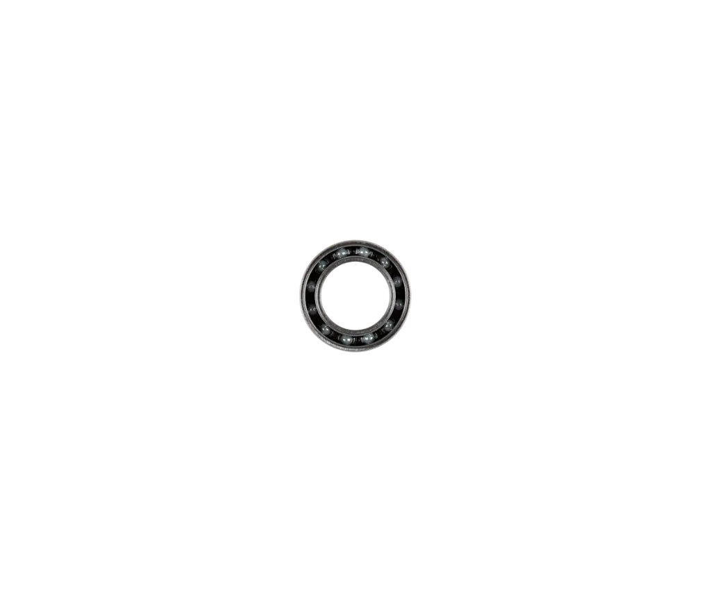 CERAMICSPEED LAGER 17287-2RSF/HC5 (coated)