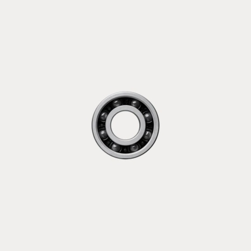 [101199] CERAMICSPEED BEARING 6001